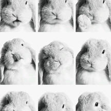 ୧ ‧₊˚ ☁️⋅♡𓂃 ࣪ ִֶ