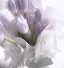 ⊹ 𓈒 ۫ ۪ ֹ ਏਓ ︪